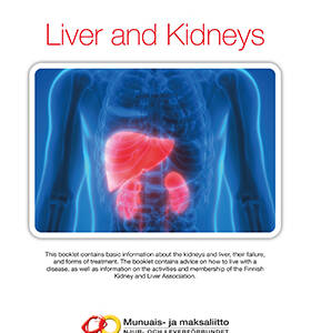 Liver and Kidneys.